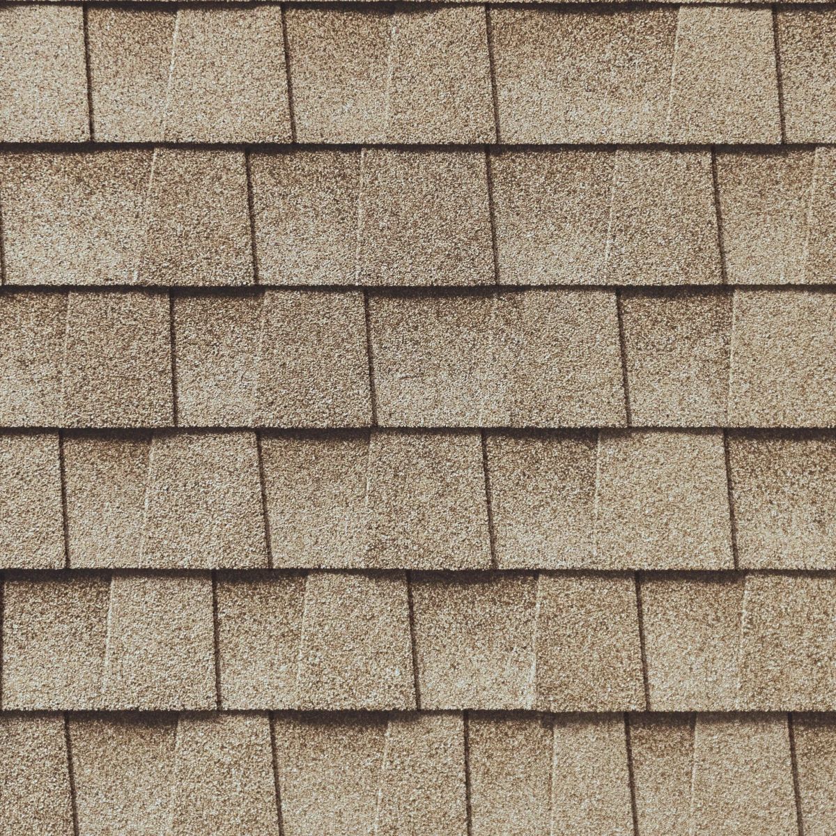 Leitch Roofing & Construction Images