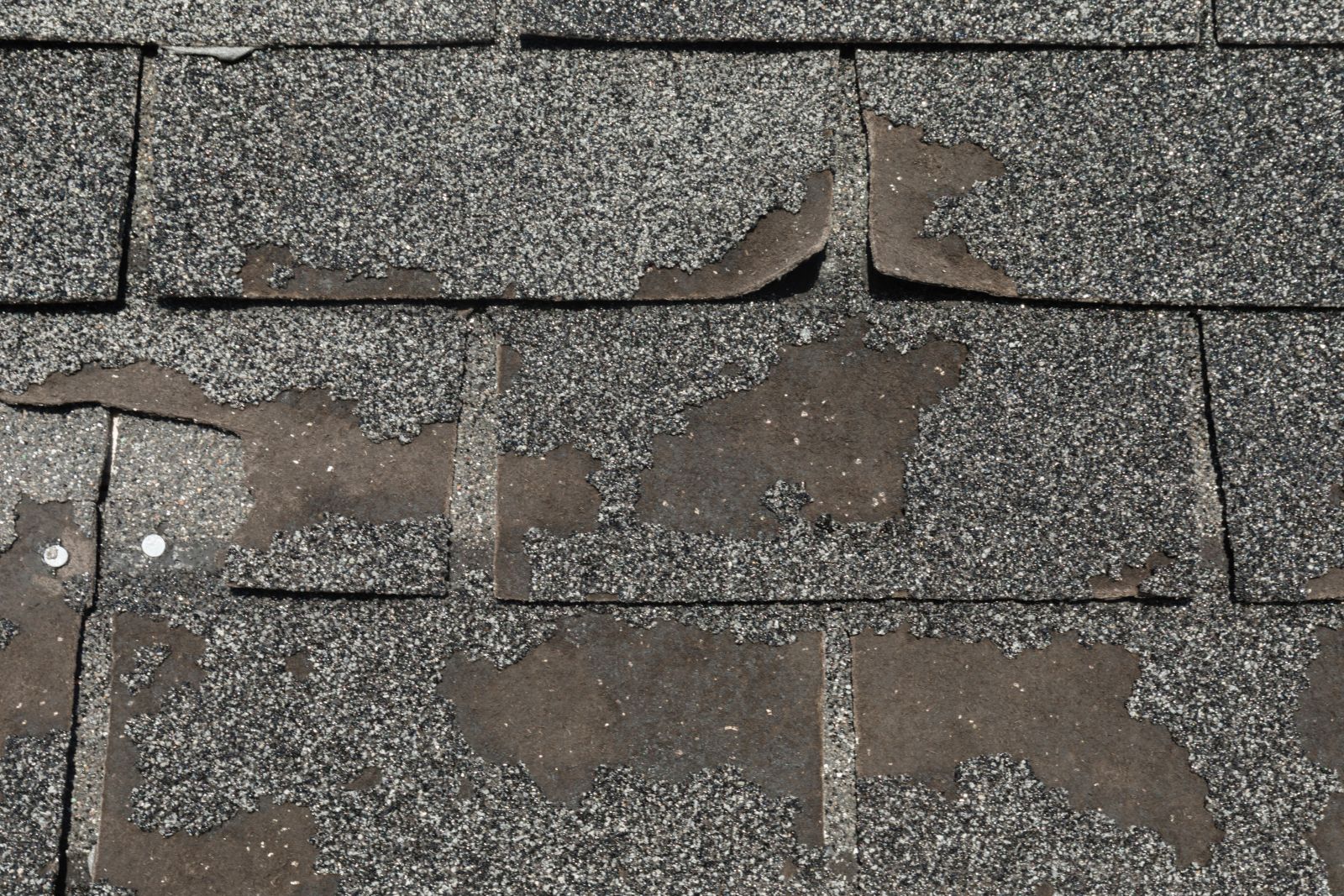 Leitch Roofing & Construction Images